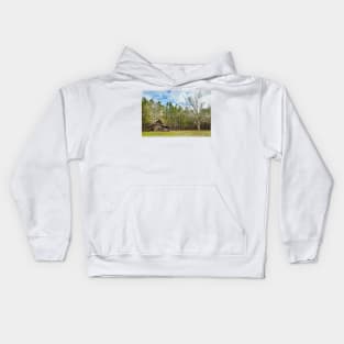 Abandoned Farm and Pecan Tree Kids Hoodie